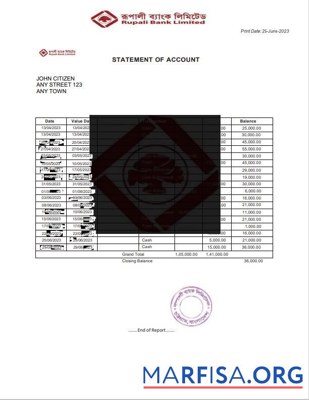 Realistic India Rupali Limited bank statement word template